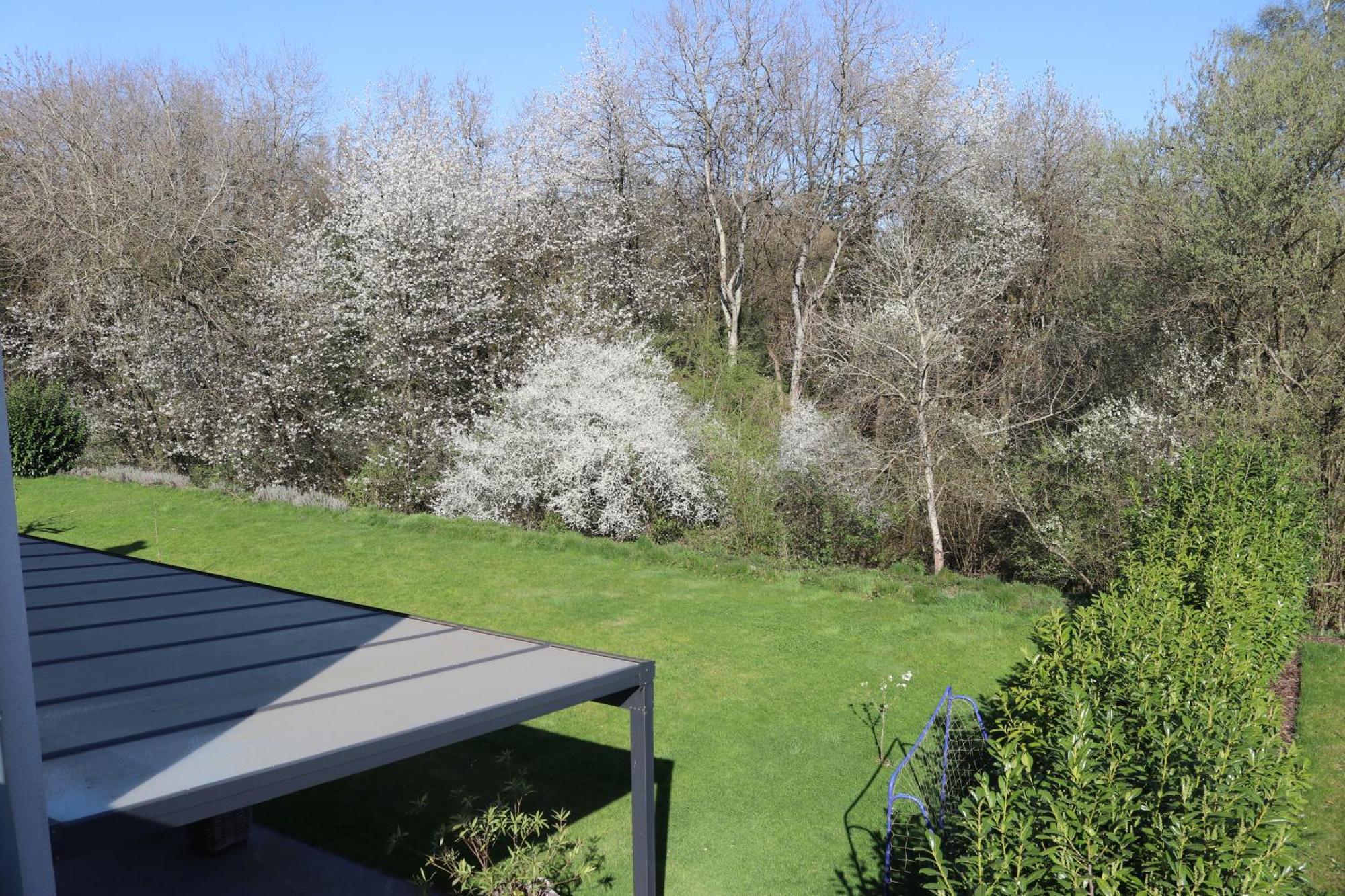 Ferienwohnung Nalbach Wohnung 1 Exteriér fotografie